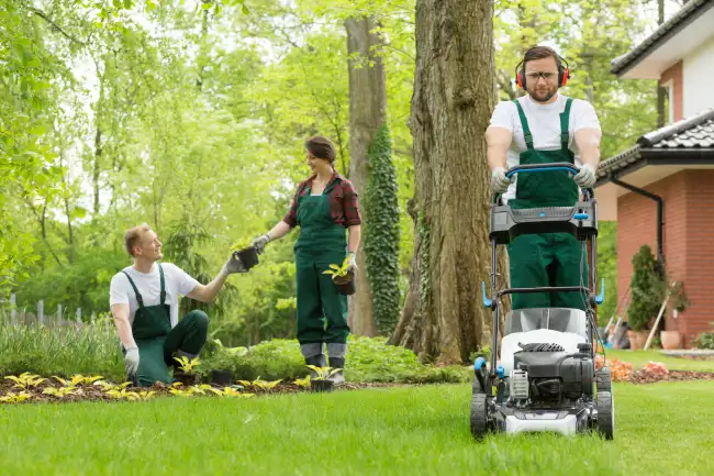 Can you mow wet grass in Nampa, ID