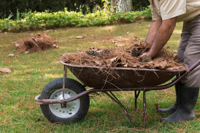 How to clear a yard full of weeds in Nampa, ID