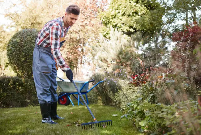 How to clear a yard full of weeds in Nampa, ID