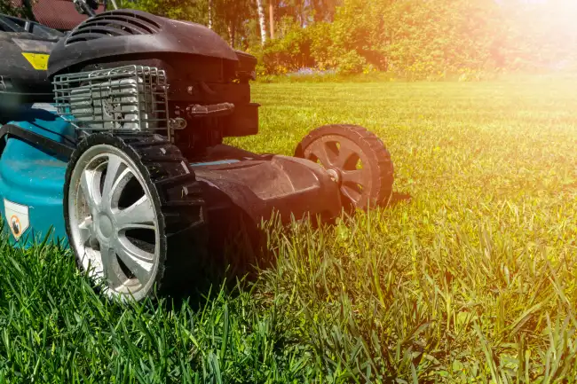 How to mow a lawn in Nampa, ID