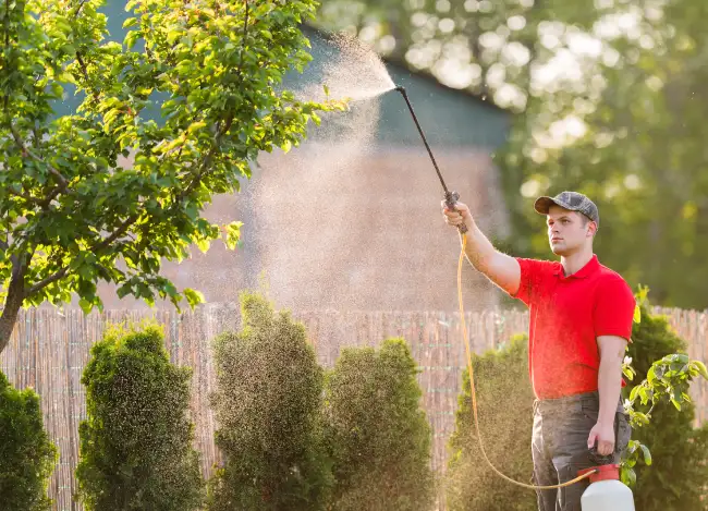 When is the best time to fertilize your lawn in Nampa, ID