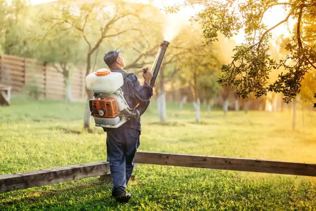 When is the best time to fertilize your lawn in Nampa, ID