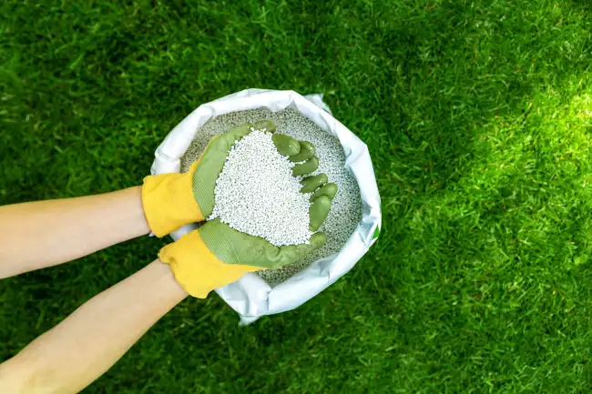 Reliable Lawn Fertilization