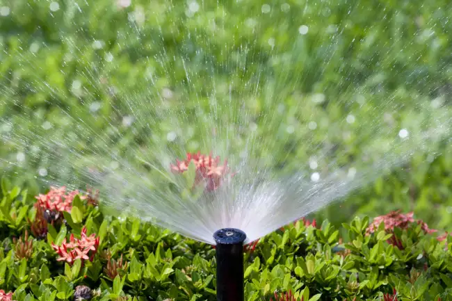 Reliable Lawn Irrigation Installation