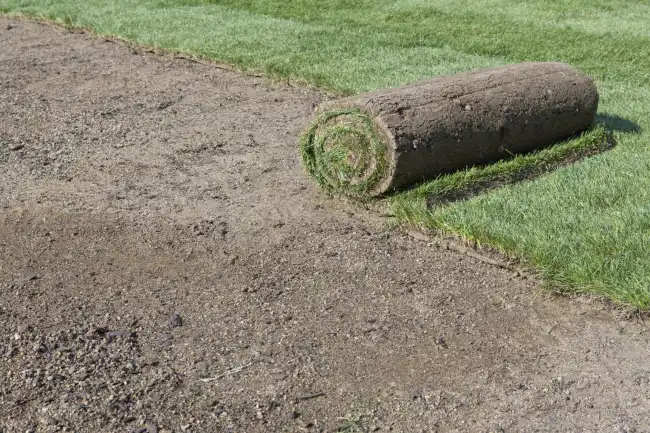 Professional sod installation in Nampa, ID