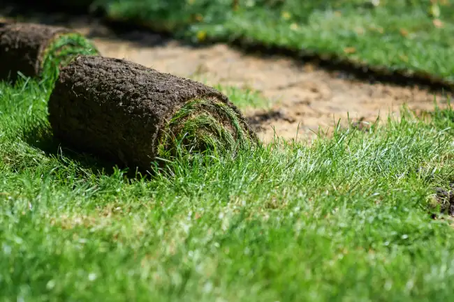 Reliable sod installation in Nampa, ID