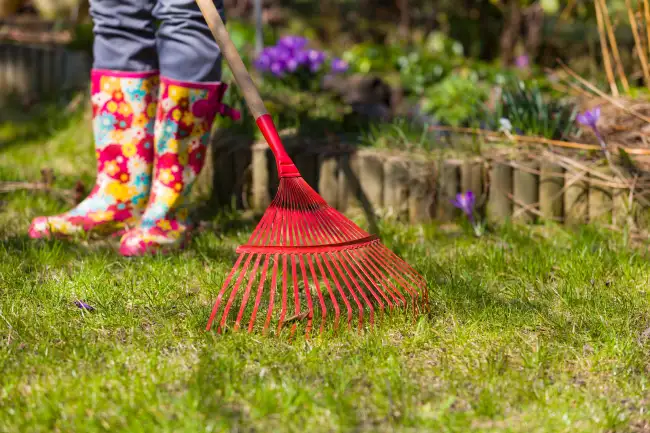 Affordable yard cleanup in Napma, ID