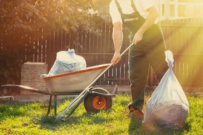 Professional yard cleanup in Napma, ID