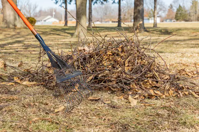 Reliable yard cleanup in Nampa, ID